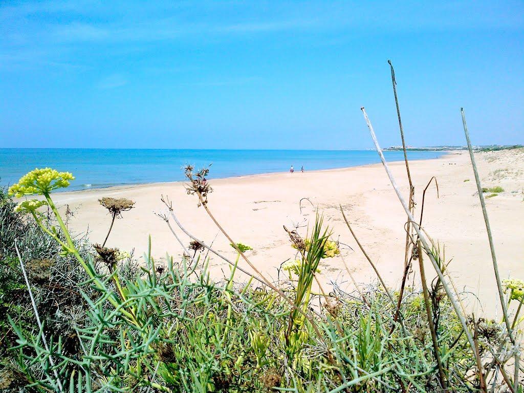 푼타브라쎄토 Cala Vigliena Il Sole Negli Occhi 빌라 외부 사진